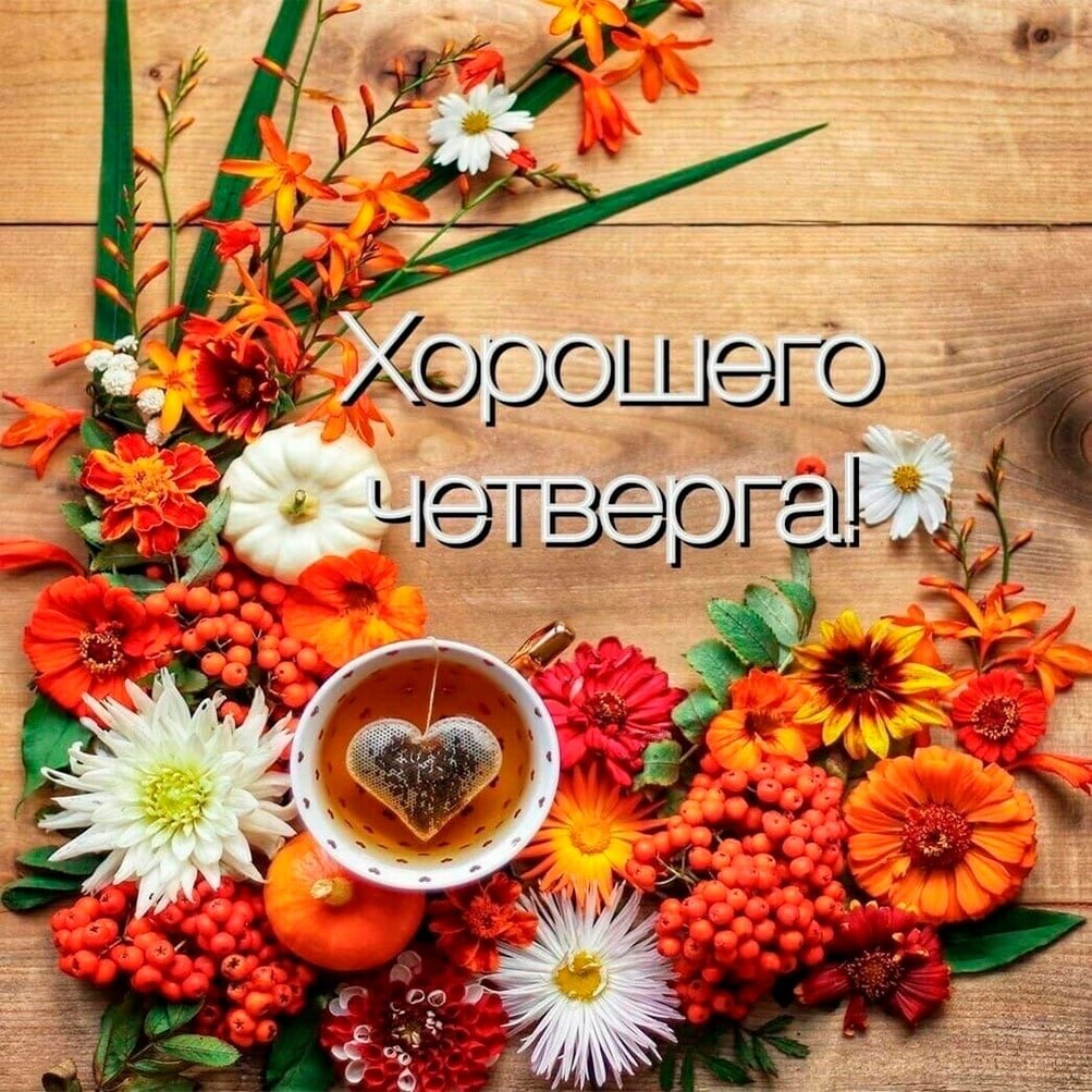 Доброе утро четверга