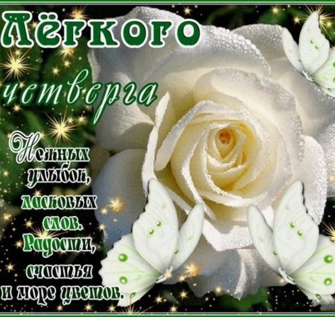 Доброе утро четверга пожелания