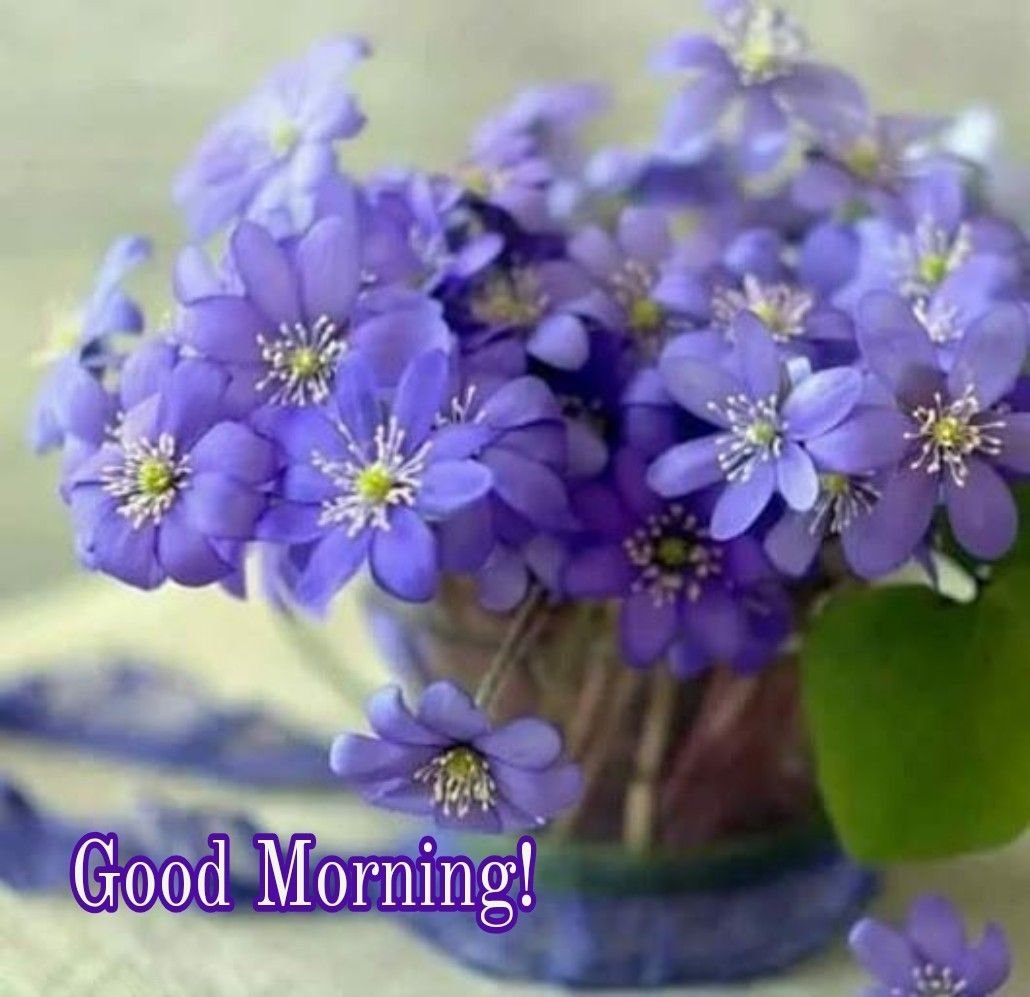 Хорошего дня и Божьего благословения