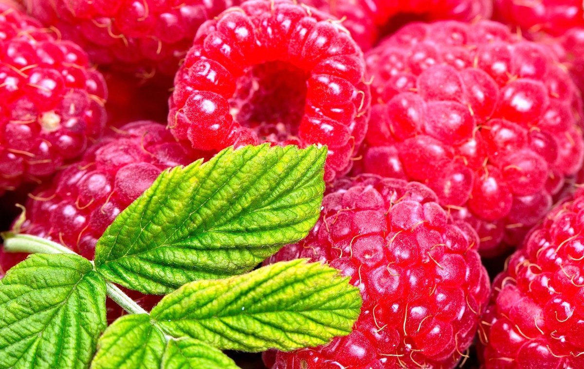 Малина Херитейдж