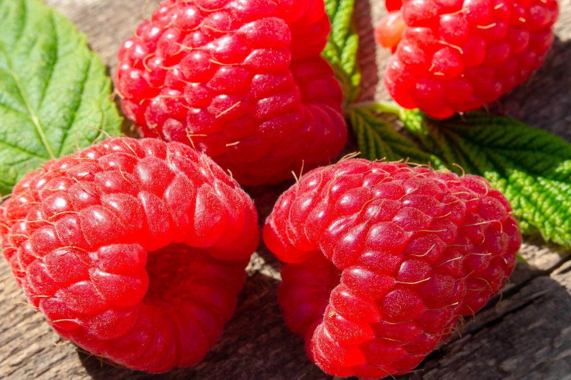 Малина фото