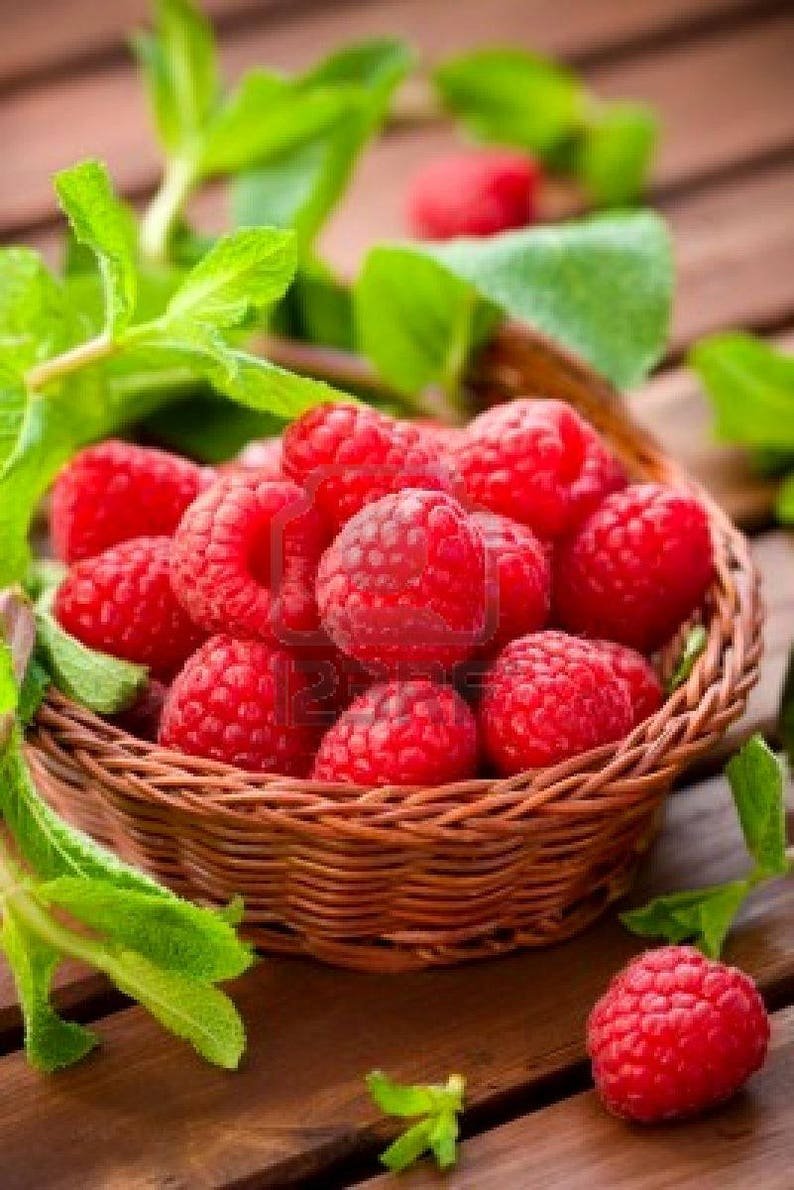 Летние ягоды