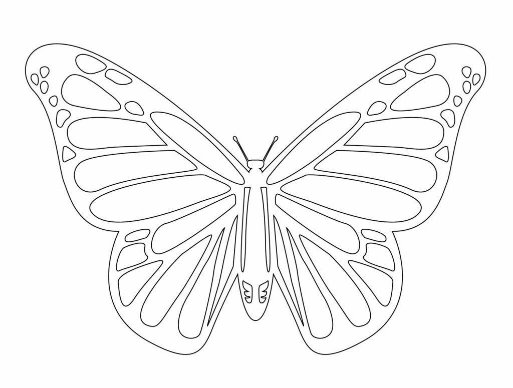 Трафареты бабочки