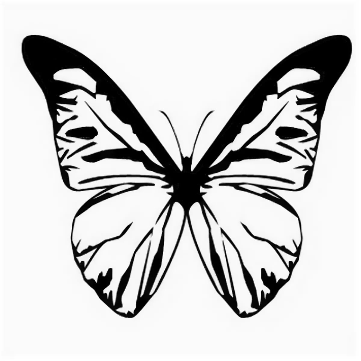 Шаблон бабочки