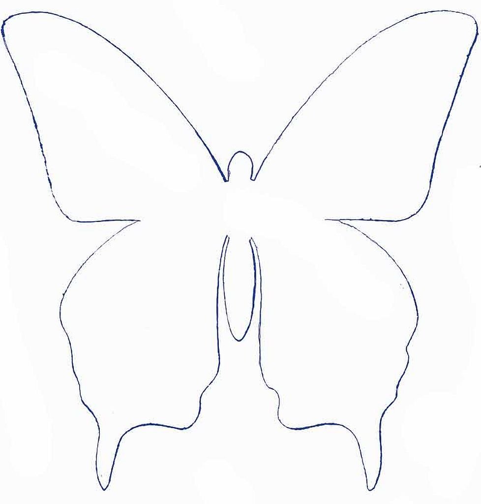 Трафарет бабочки для рисования
