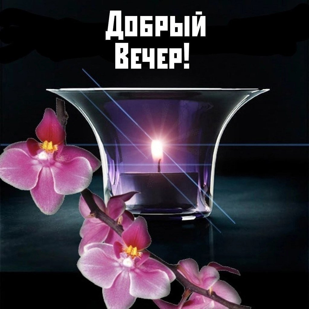 Добрый летний вечер с надписью