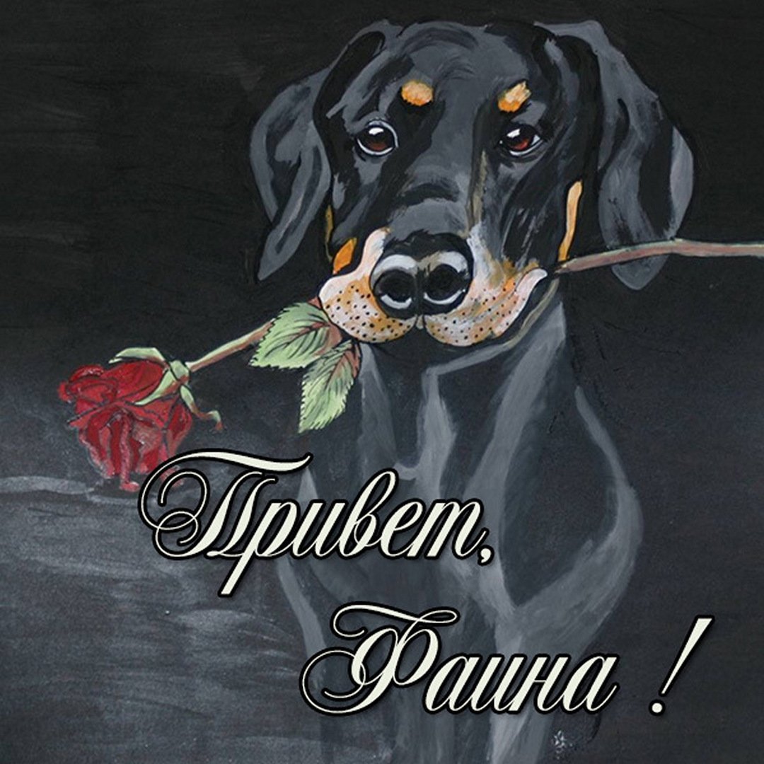 Удивительного вечера