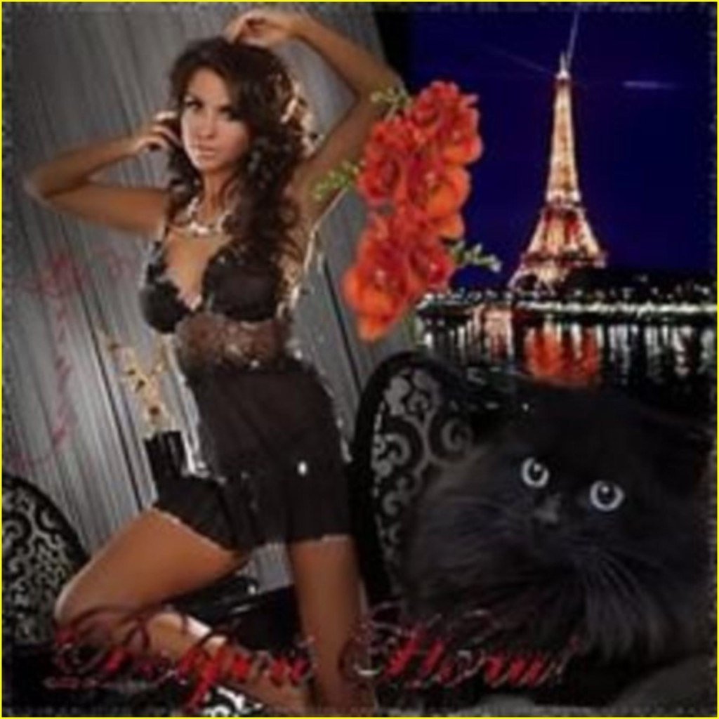 Добрый привет