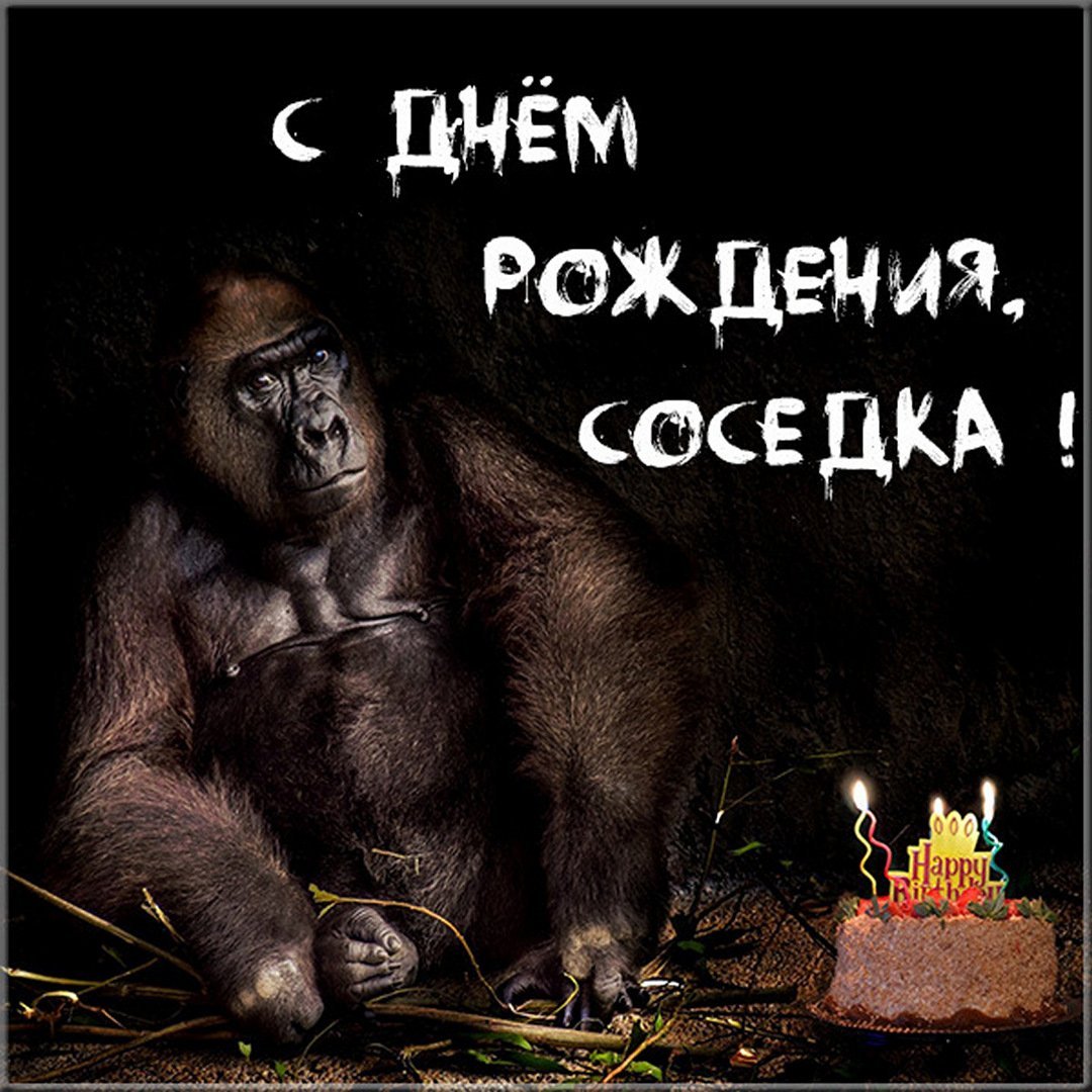 С днём рождения сосед прикольные картинки