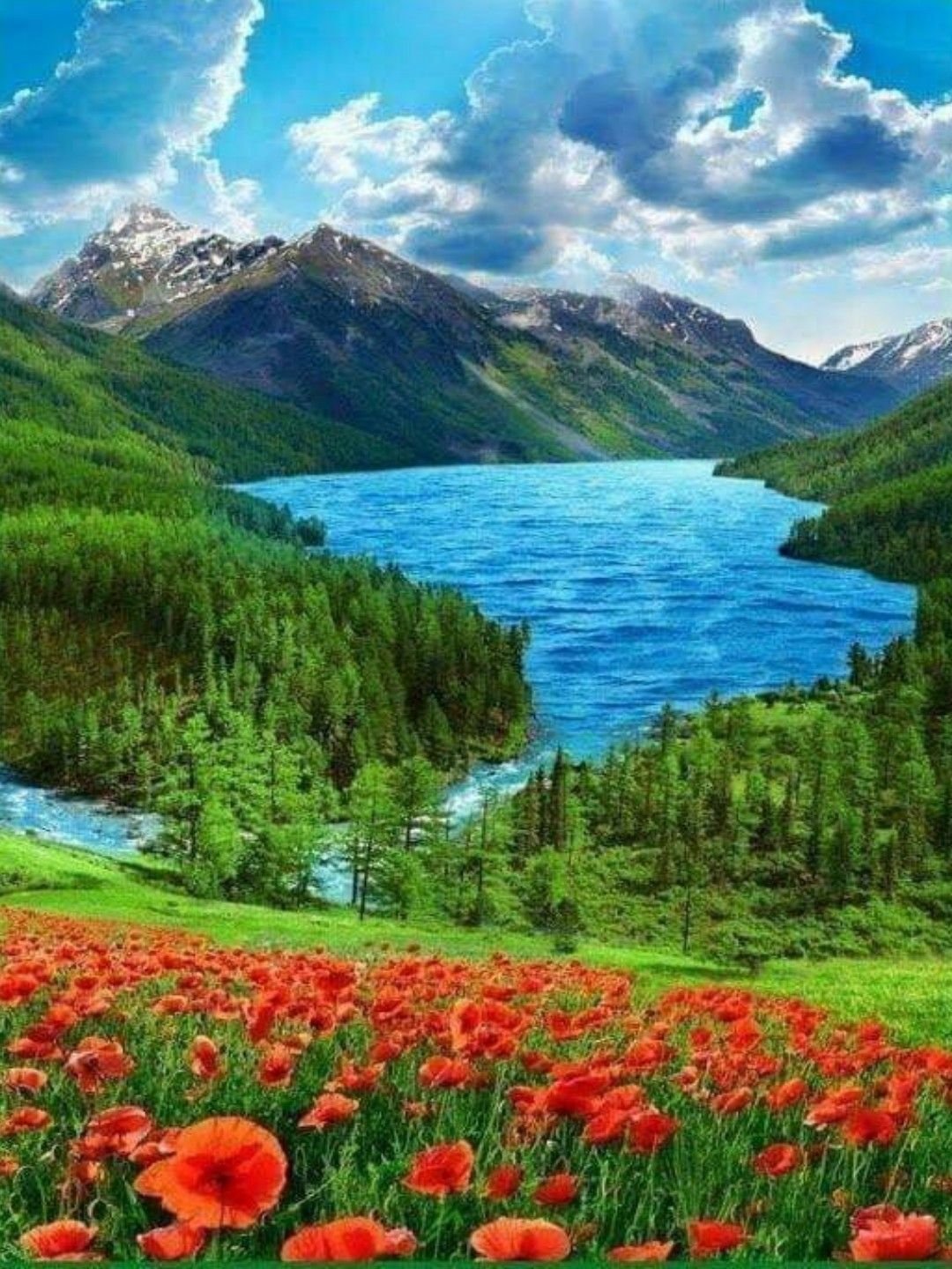 Узбекистан табиат манзаралари