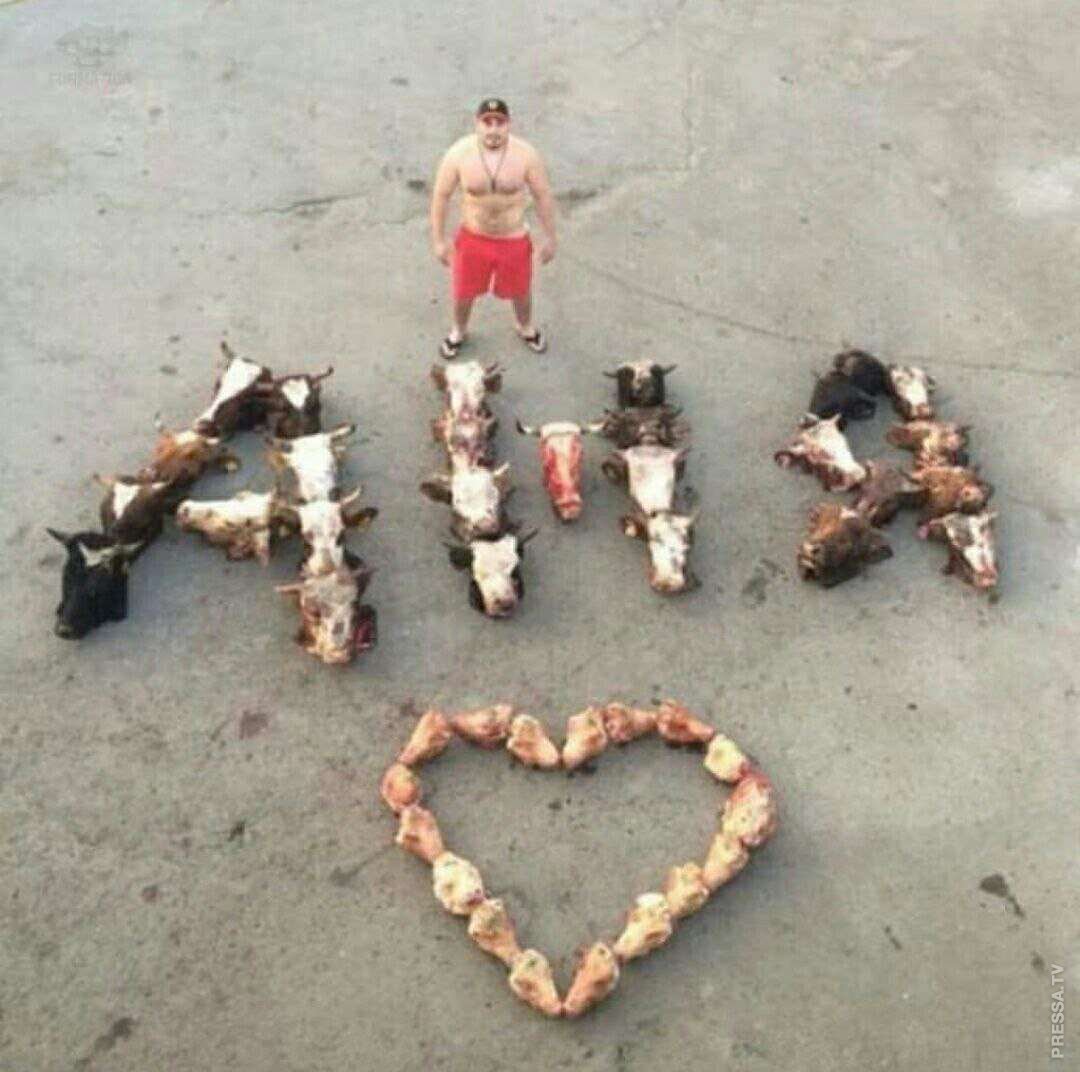 Смешные романтики