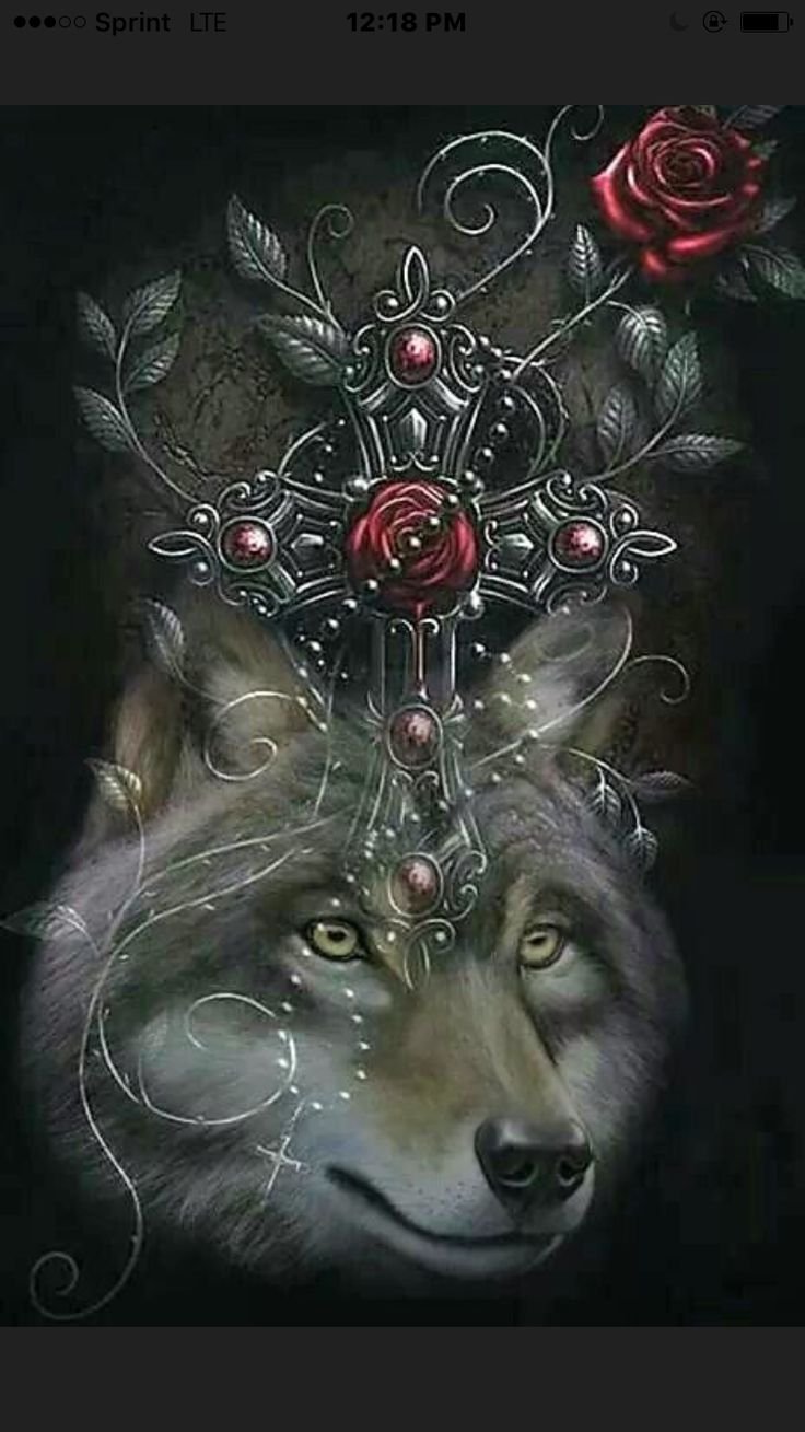 Волк с розой арт