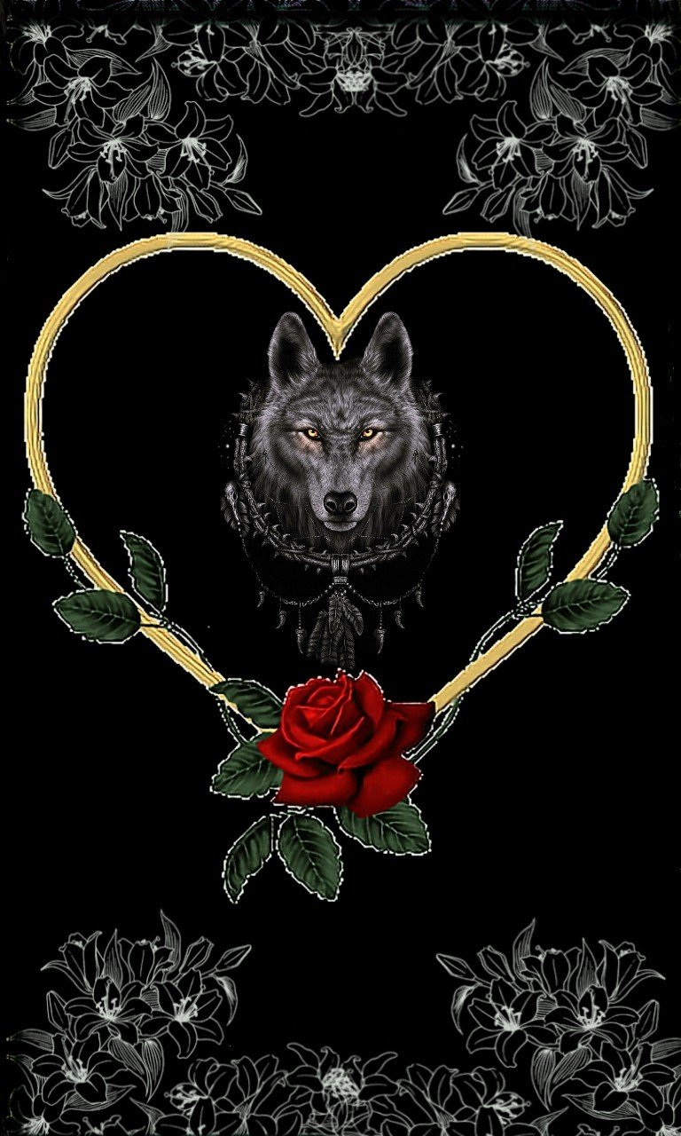 Черный волк и роза