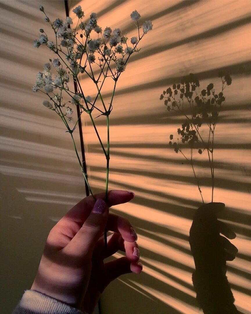 Оригинальные картинки на аву