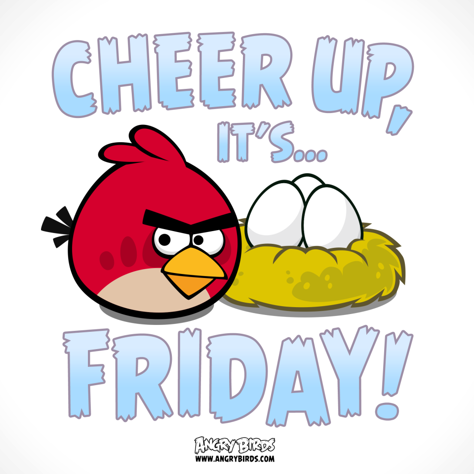 Прикольные картинки Angry Birds для учебы