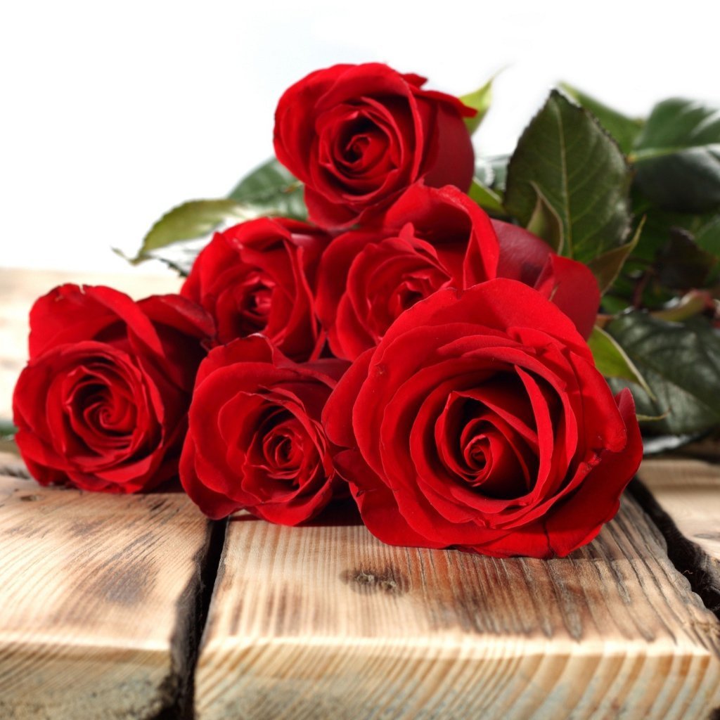 Поздравления с именинницей картинки красивые