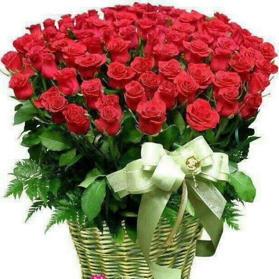 С днём рождения дочери