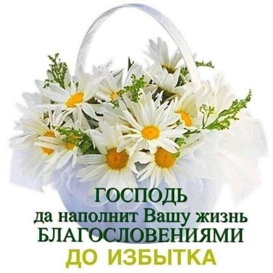 Корзинка с ромашками на прозрачном фоне