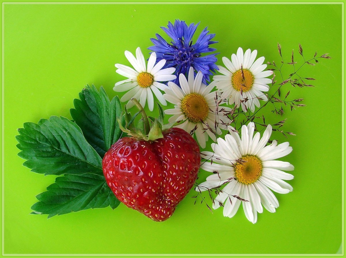 Красивые летние пожелания