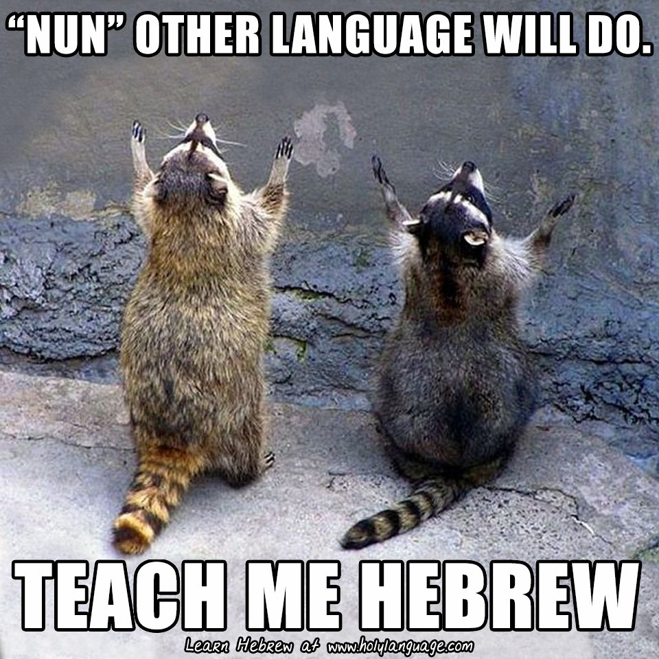 Собака бухает