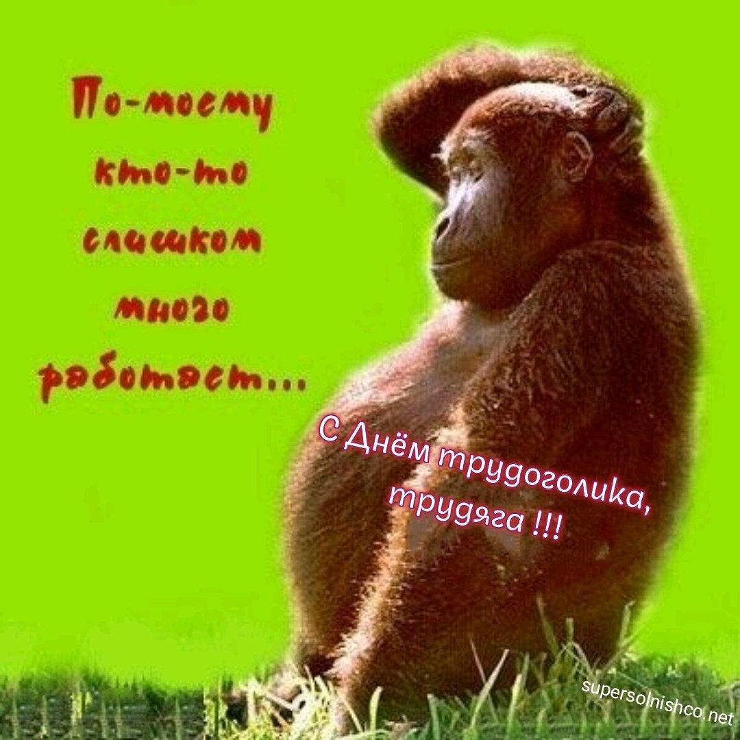 Сегодня пятница