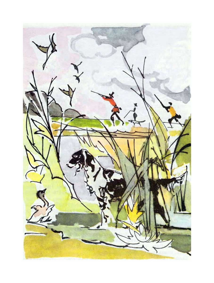 Гадкий утенок иллюстрации Алфеевского