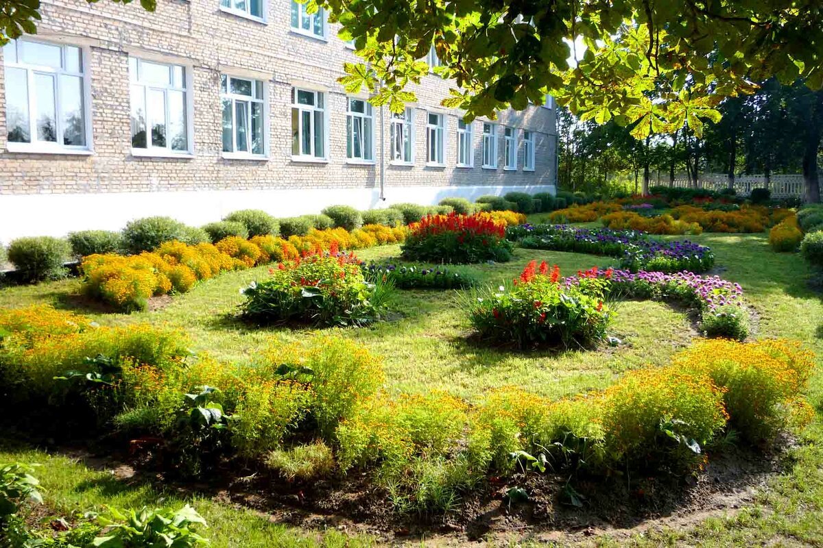 Озеленение пришкольной территории