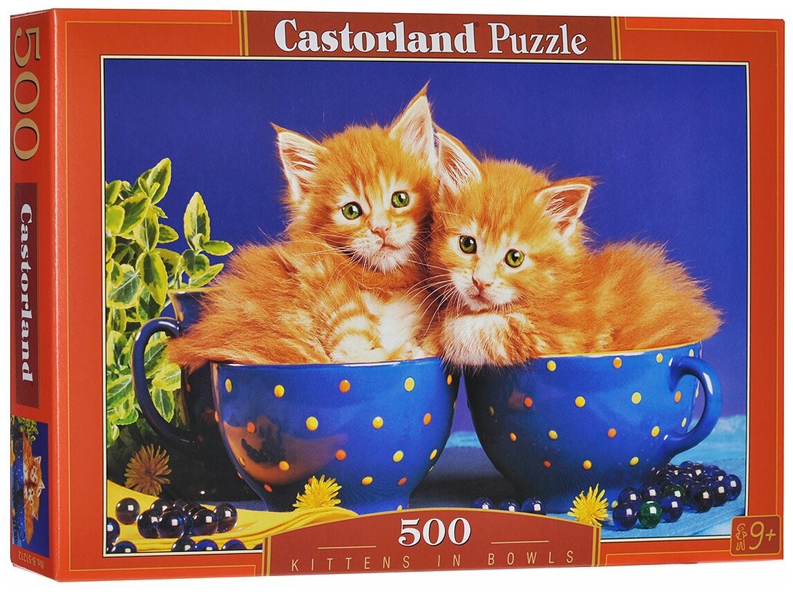 Стикер доброго вечера с котиком