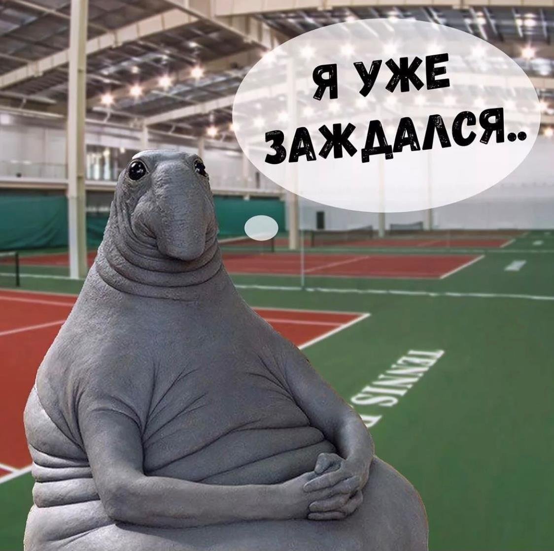 Я что - то нажала и все исчезло жлун