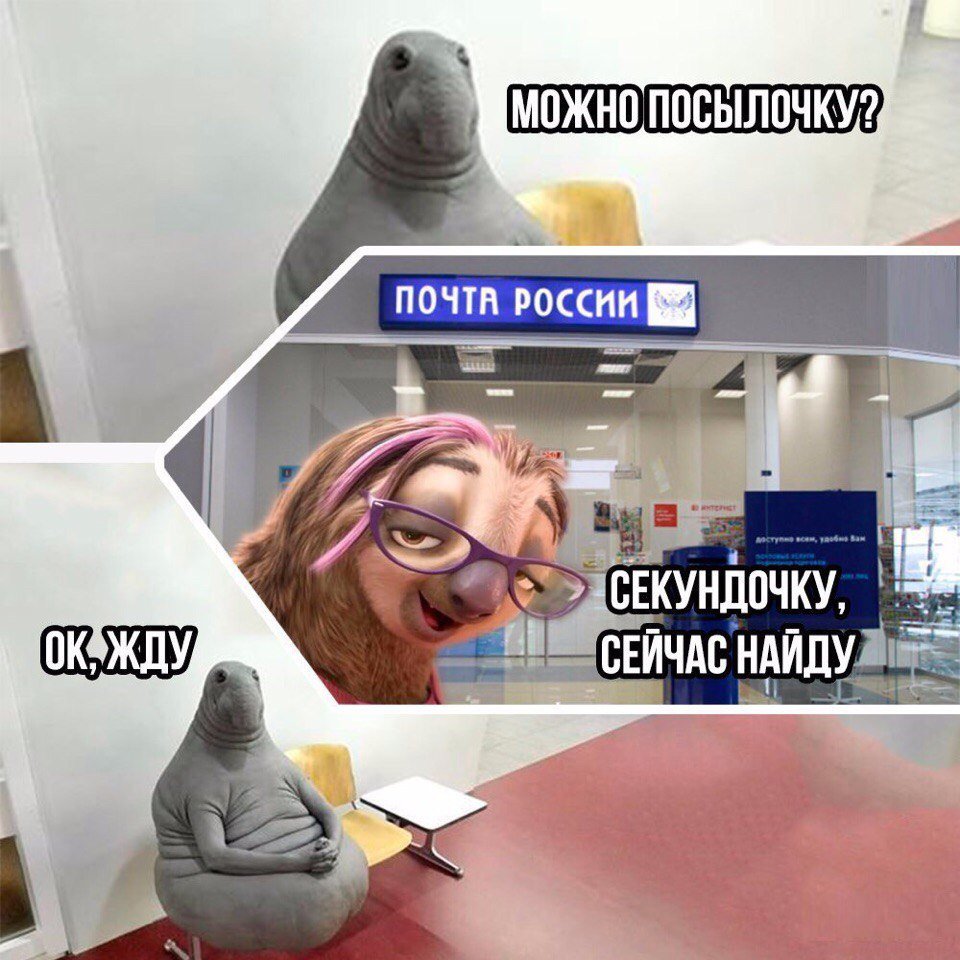 Ждун ЗП