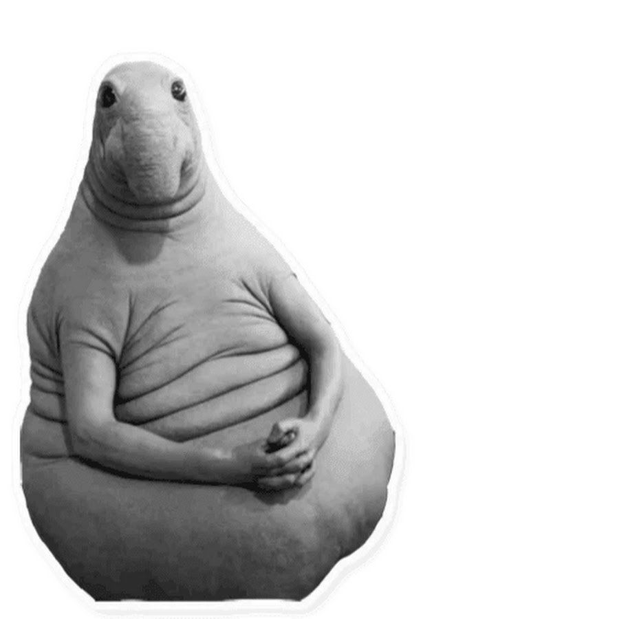 Ждун в офисе