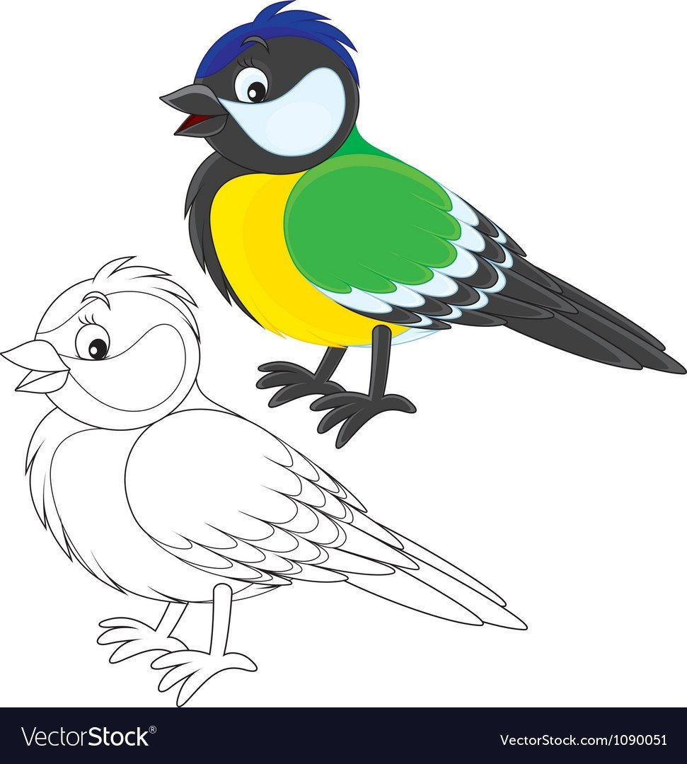 Птица синица разукрашка