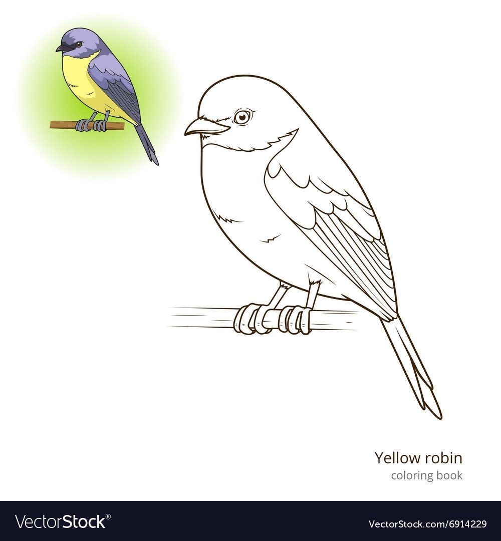 Синица раскраска для детей