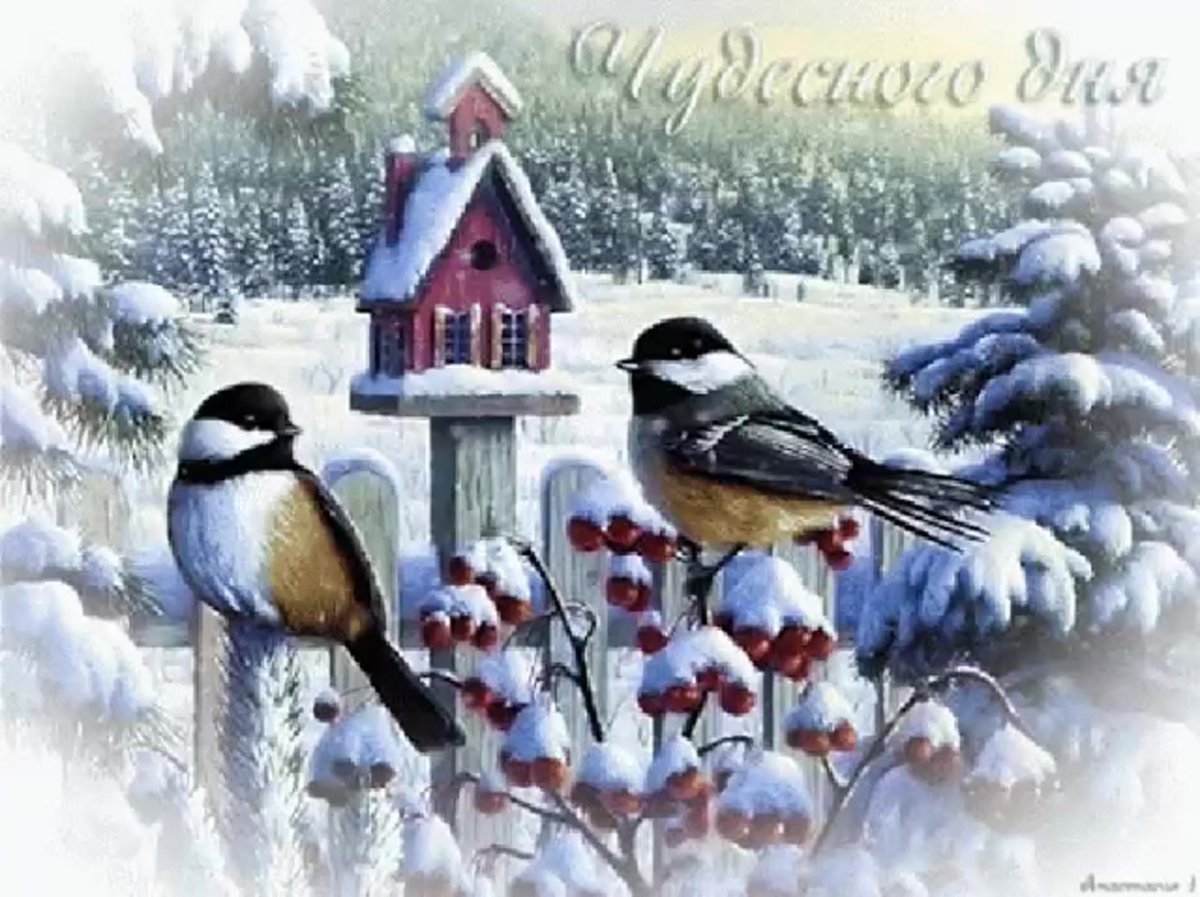 Доброго зимнего дня синичка