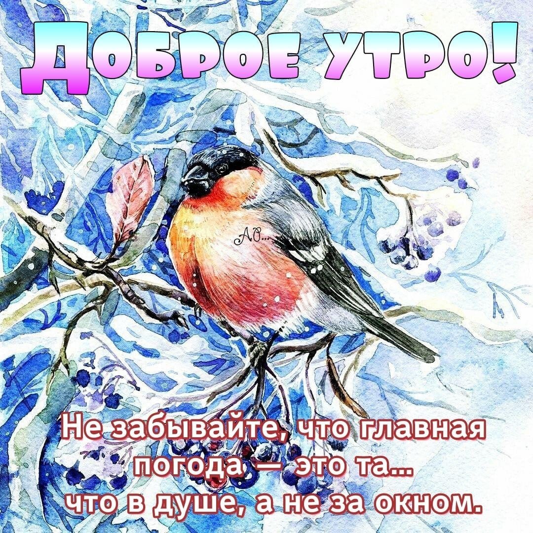 Стикеры с добрым утром красивые зимние