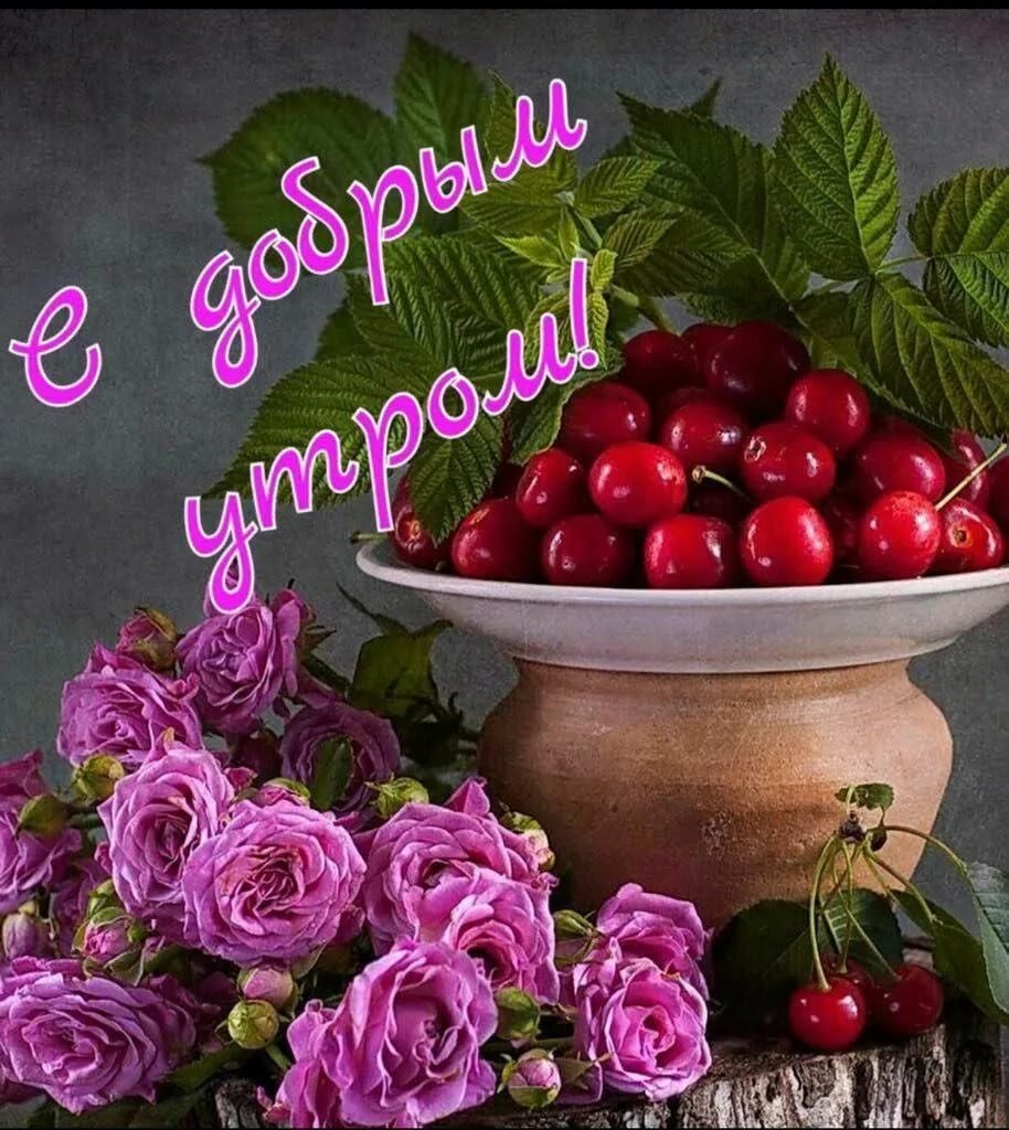 Хорошего дня и здоровья