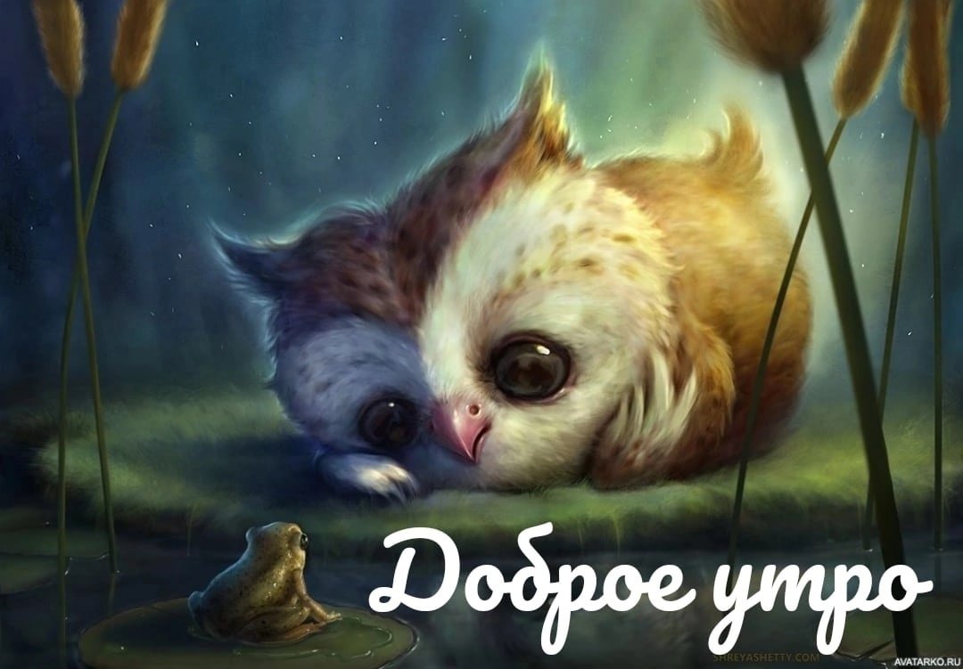 Няшный совёнок