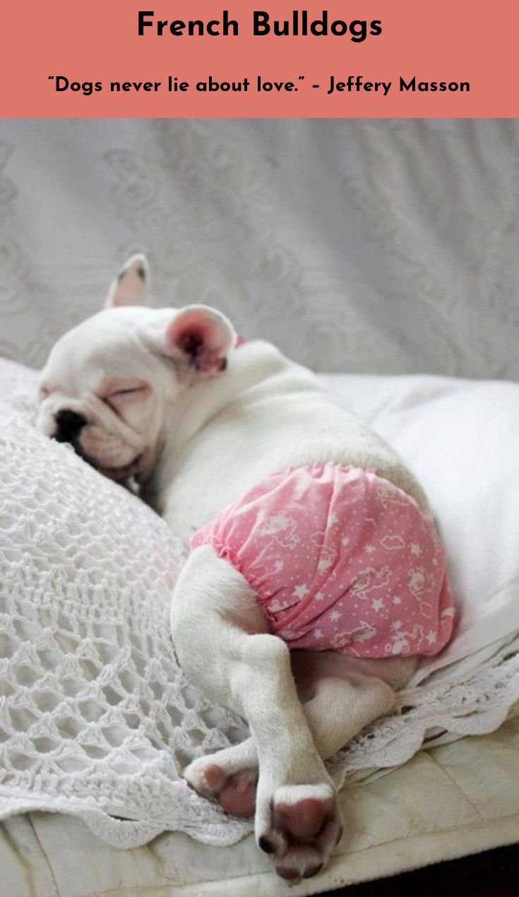 Смешно спит