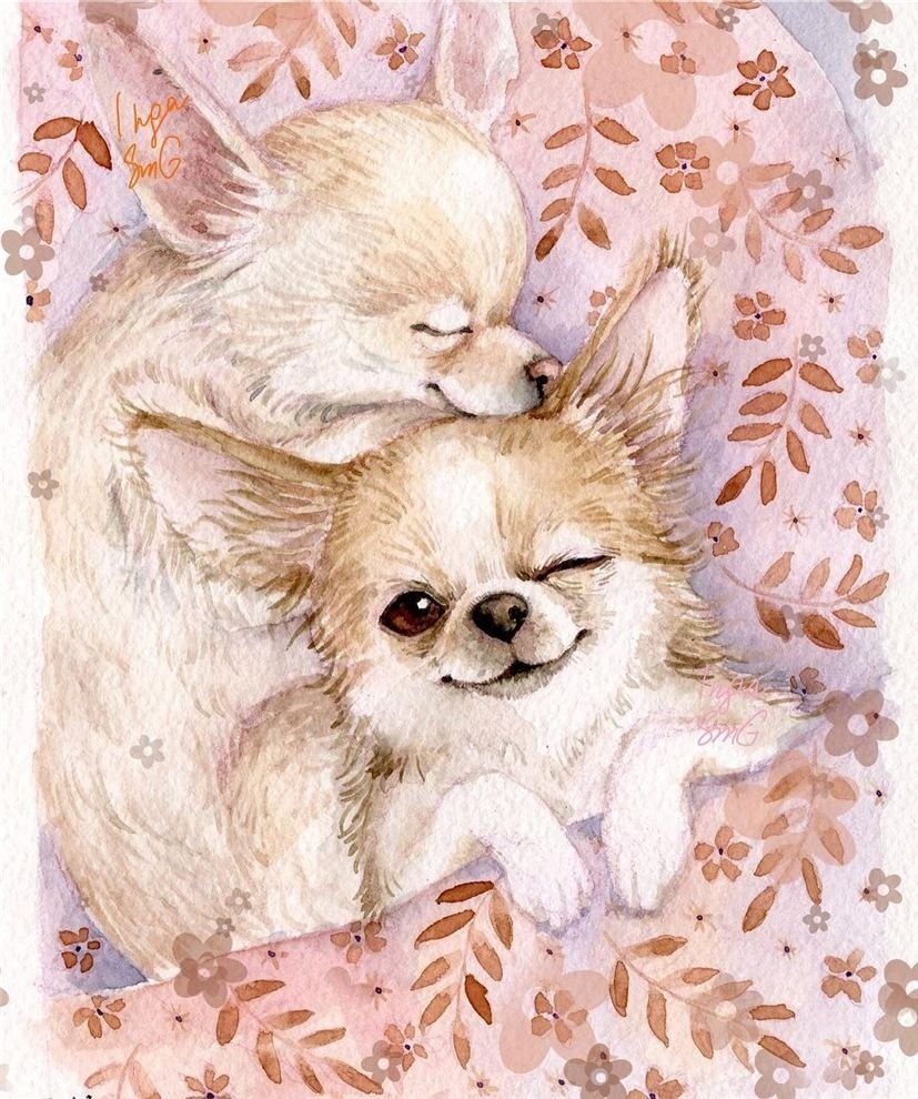 Милые картины