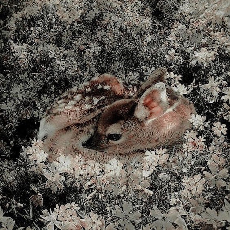 Мультяшные животные