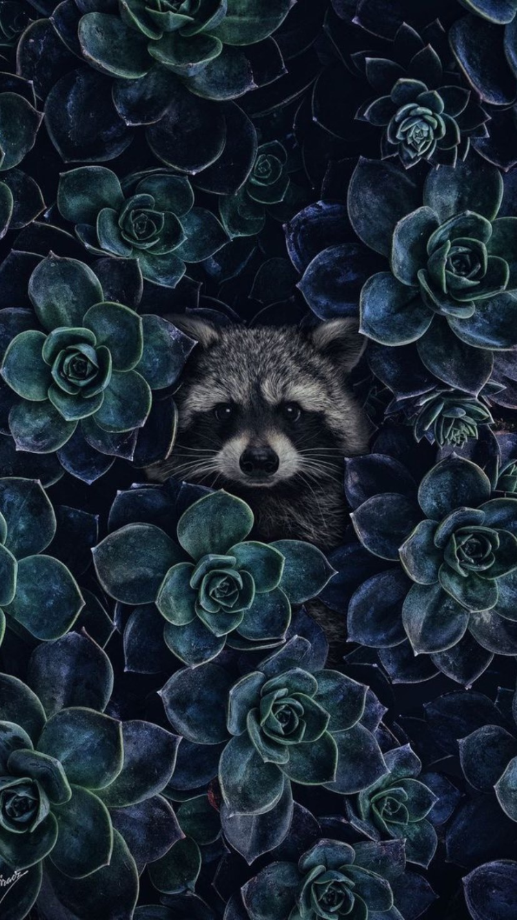 Художник Тилен ти акварель