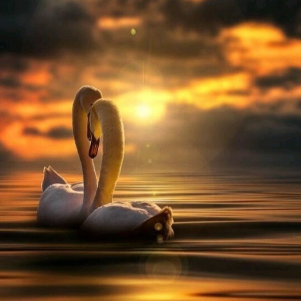 Добрый вечер надпись