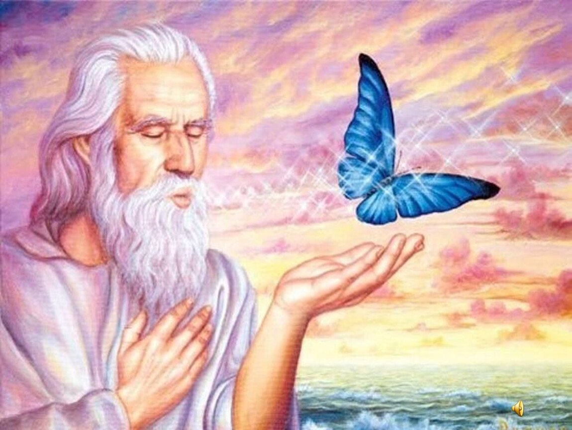 Мудрец и бабочка