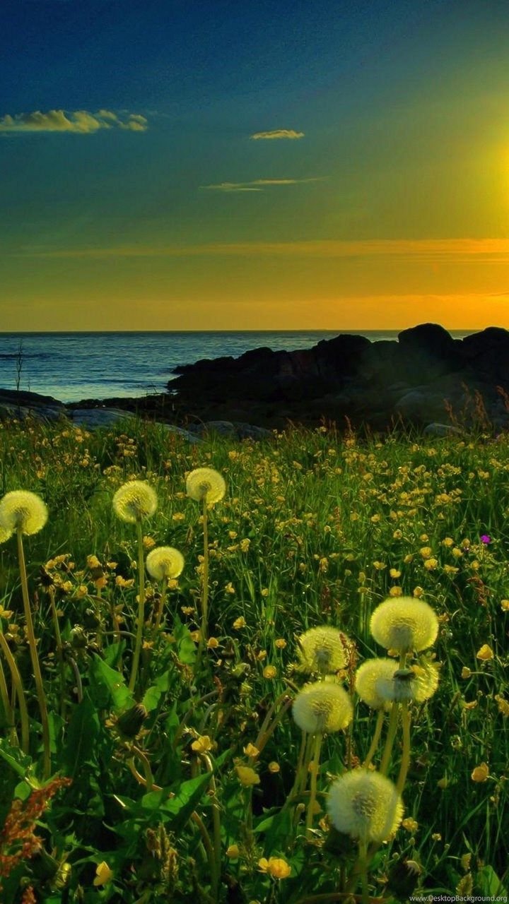 Красивые летние пейзажи