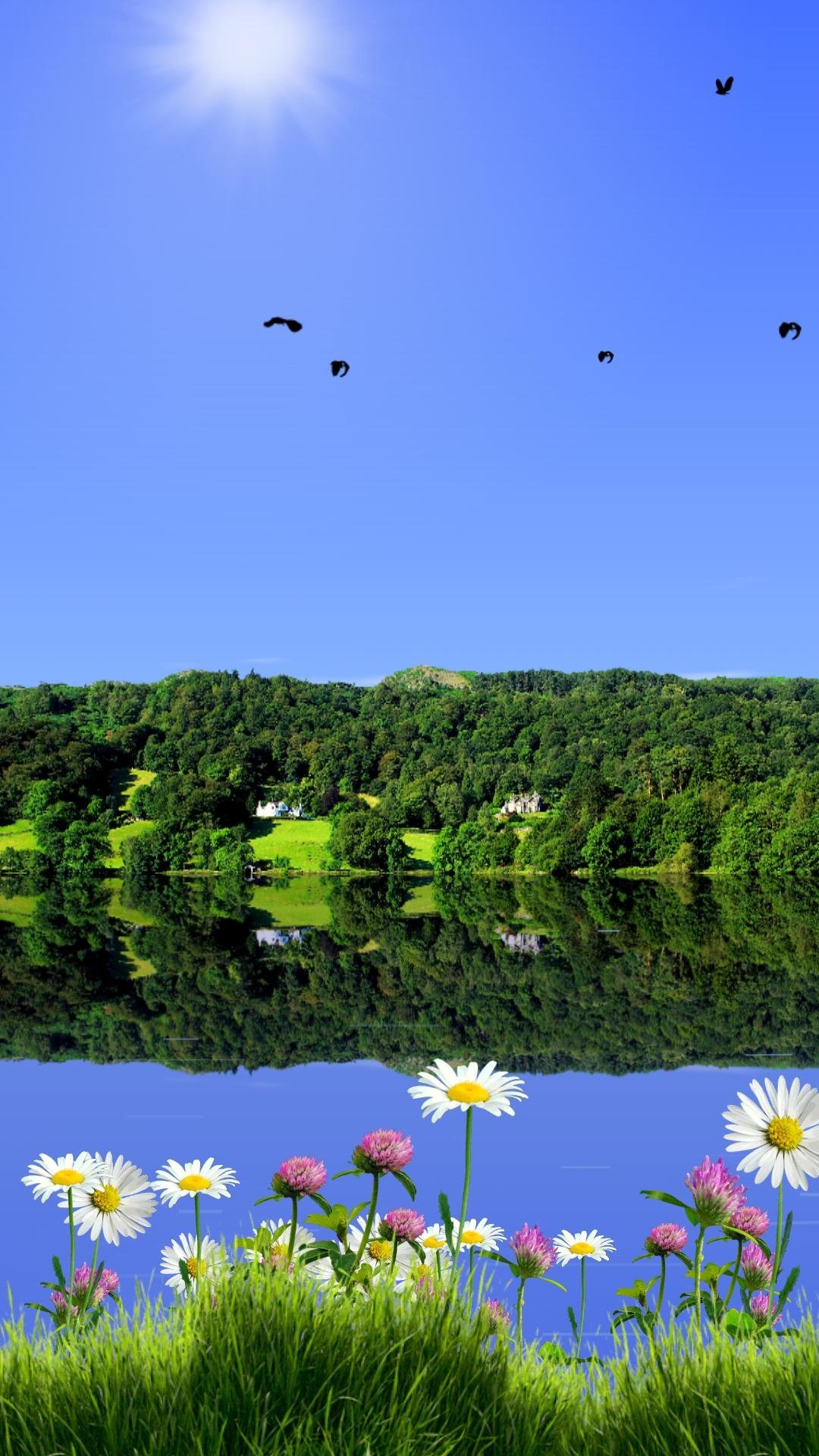 Пейзажи природы лето