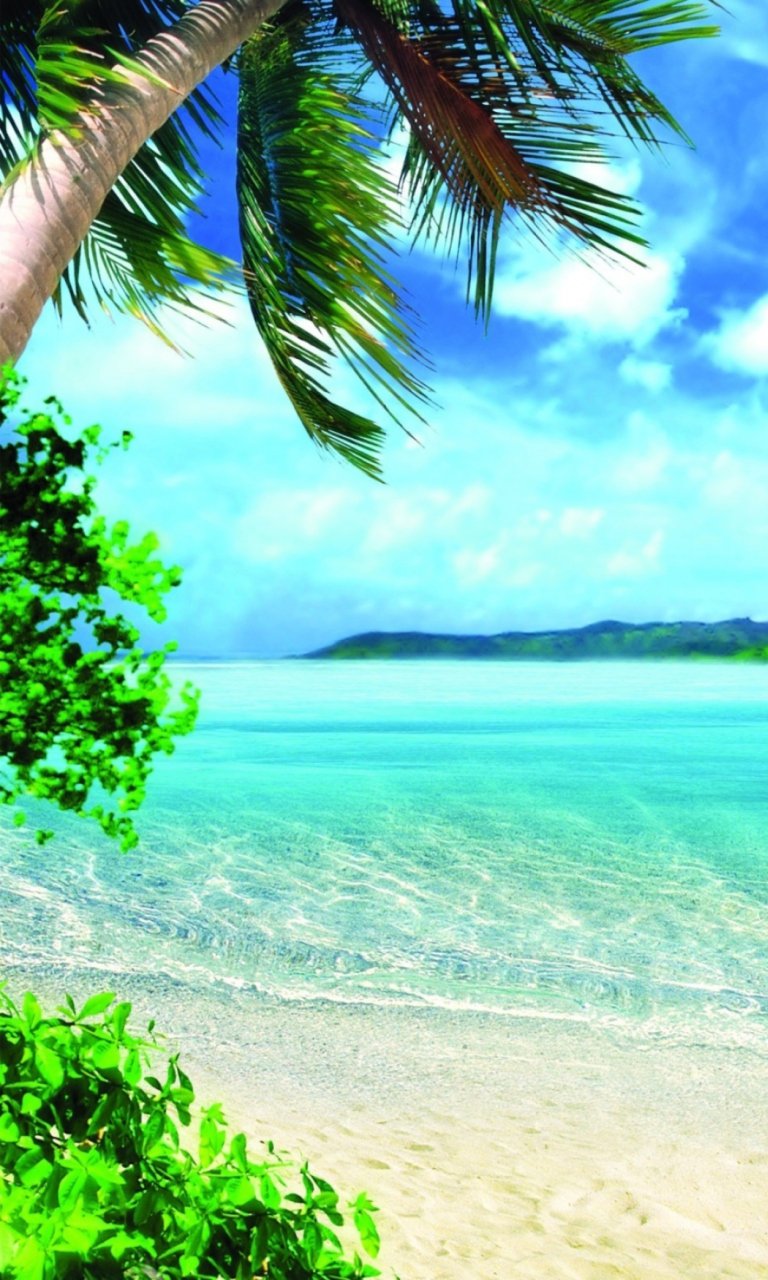 Летняя фантазия