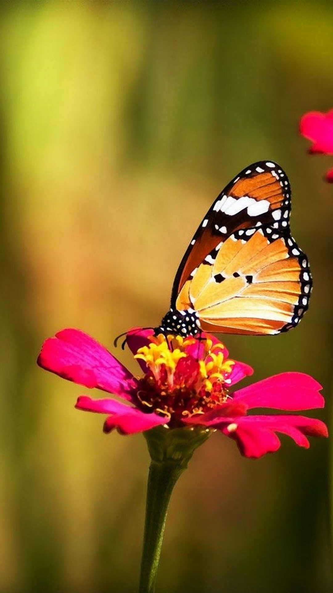 Красивые морские пейзажи