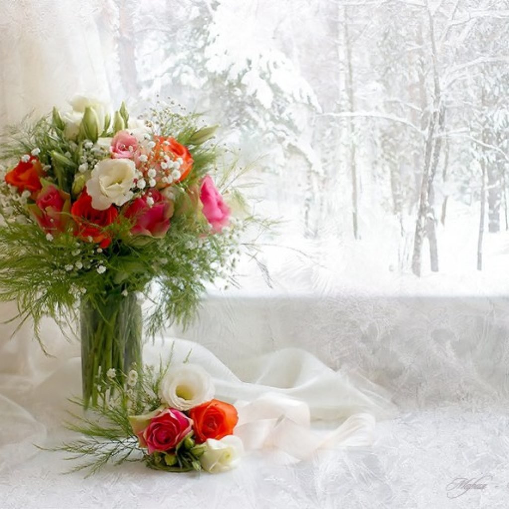 Цветы на зимнем окне