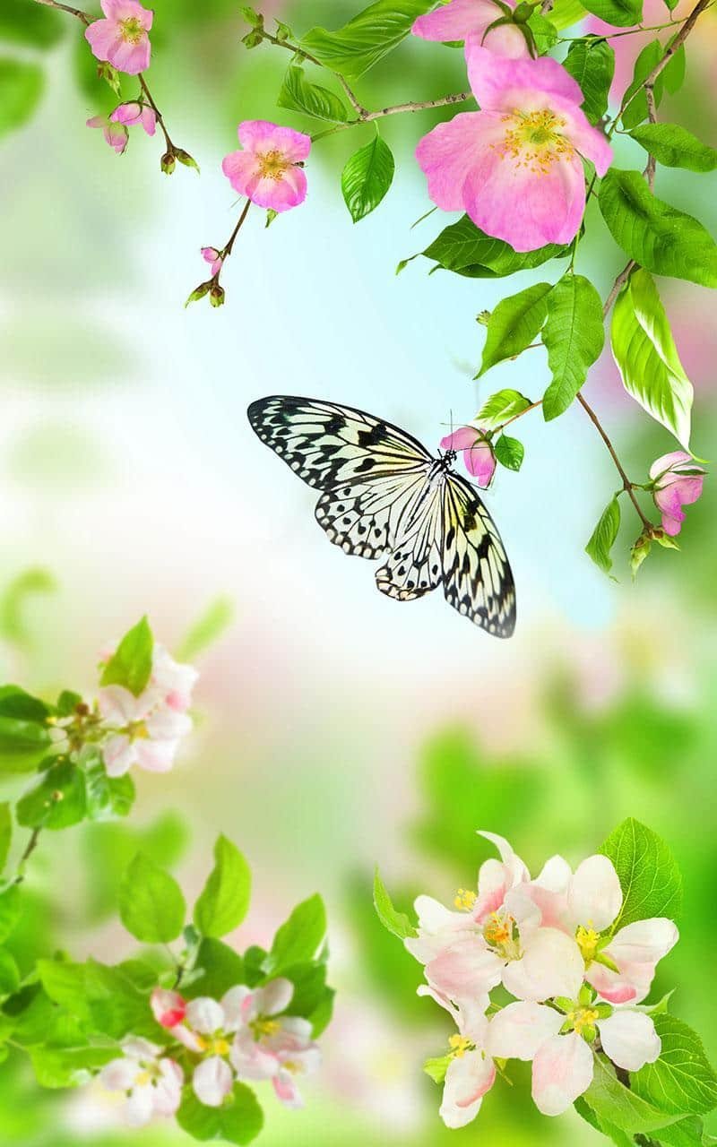 Полянка с цветами