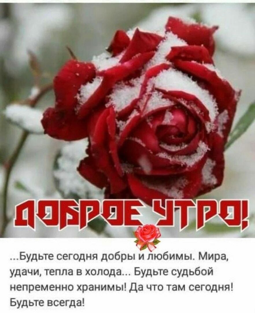 Зимние цветы с пожеланием